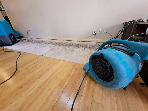 Professional Flood Damage Cleanup technician working in Central, TN